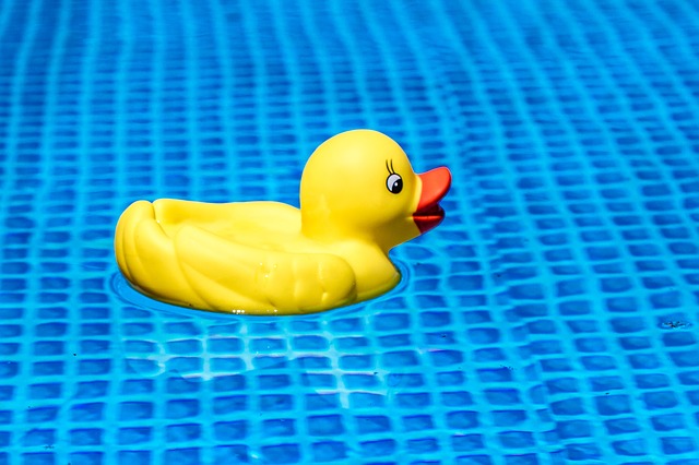 kachnička v bazénu.jpg