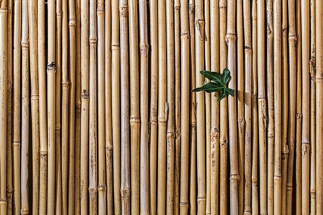 bambusový rošt